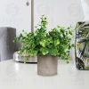 Xiyun artificial potted Plant desktop cylindrical pulp artificial potted Plant, large eucalyptus leaf green Plant artificial plant details Picture